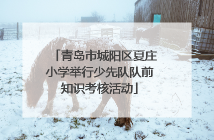 青岛市城阳区夏庄小学举行少先队队前知识考核活动