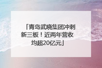 青岛武晓集团冲刺新三板！近两年营收均超20亿元