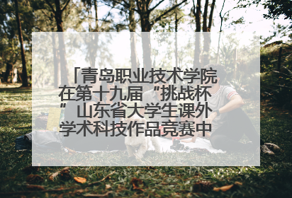 青岛职业技术学院在第十九届“挑战杯”山东省大学生课外学术科技作品竞赛中斩获佳绩
