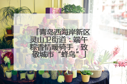 青岛西海岸新区灵山卫街道：端午粽香情暖骑手，致敬城市“蜂鸟”