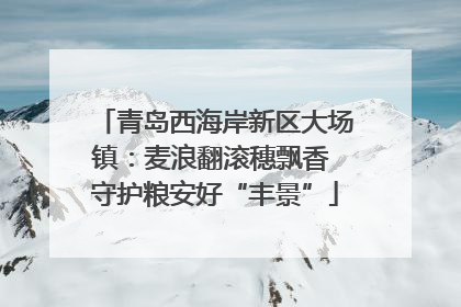 青岛西海岸新区大场镇：麦浪翻滚穗飘香 守护粮安好“丰景”