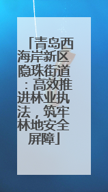 青岛西海岸新区隐珠街道：高效推进林业执法，筑牢林地安全屏障