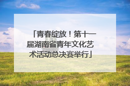 青春绽放！第十一届湖南省青年文化艺术活动总决赛举行