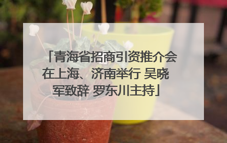 青海省招商引资推介会在上海、济南举行 吴晓军致辞 罗东川主持