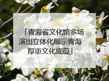 青海省文化馆多场演出立体化展示青海厚重文化底蕴