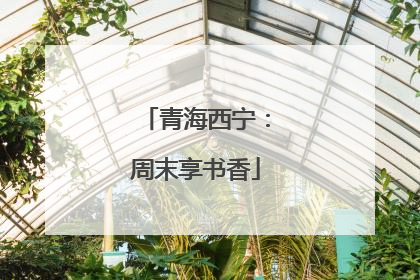 青海西宁：周末享书香