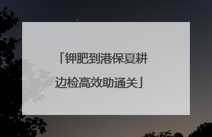 钾肥到港保夏耕 边检高效助通关