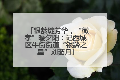 银龄绽芳华，“微孝”暖夕阳：记西城区牛街街道“银龄之星”刘茹月