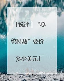 锐评｜“总统特赦”要价多少美元