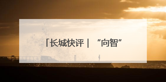 长城快评｜“向智”而行，建设全国现代商贸物流重要基地