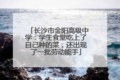 长沙市金阳高级中学：学生食堂吃上了自己种的菜，还出现了一批劳动能手