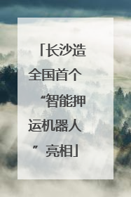 长沙造全国首个“智能押运机器人”亮相