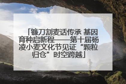 镰刀割麦话传承 基因育种启新程——第十届杨凌小麦文化节见证“颗粒归仓”时空跨越