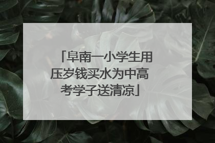 阜南一小学生用压岁钱买水为中高考学子送清凉