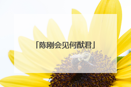 陈刚会见何猷君