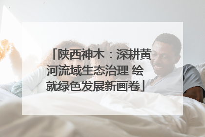 陕西神木：深耕黄河流域生态治理 绘就绿色发展新画卷