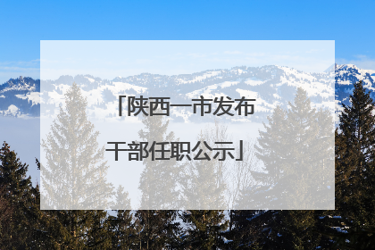 陕西一市发布干部任职公示