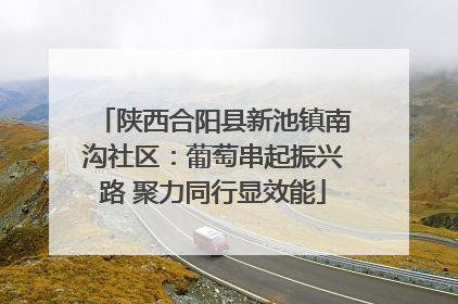 陕西合阳县新池镇南沟社区：葡萄串起振兴路 聚力同行显效能