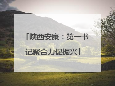 陕西安康：第一书记聚合力促振兴
