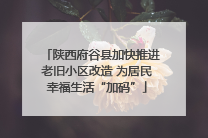 陕西府谷县加快推进老旧小区改造 为居民幸福生活“加码”