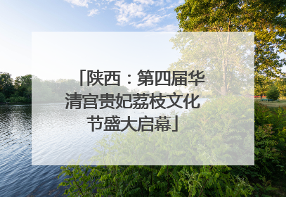 陕西：第四届华清宫贵妃荔枝文化节盛大启幕