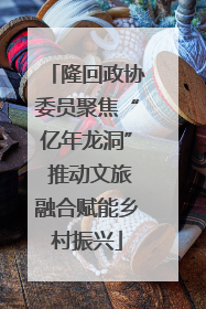 隆回政协委员聚焦“亿年龙洞” 推动文旅融合赋能乡村振兴