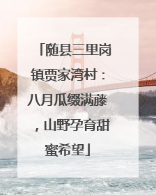 随县三里岗镇贾家湾村：八月瓜缀满藤，山野孕育甜蜜希望