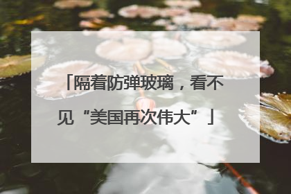 隔着防弹玻璃，看不见“美国再次伟大”