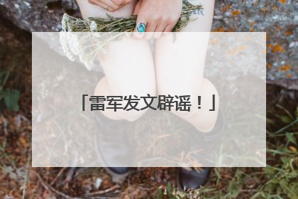 雷军发文辟谣！