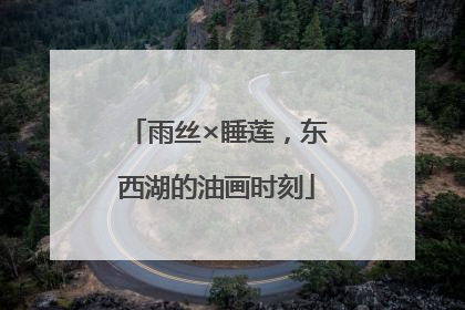 雨丝×睡莲，东西湖的油画时刻
