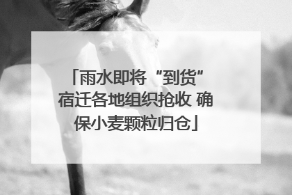 雨水即将“到货” 宿迁各地组织抢收 确保小麦颗粒归仓