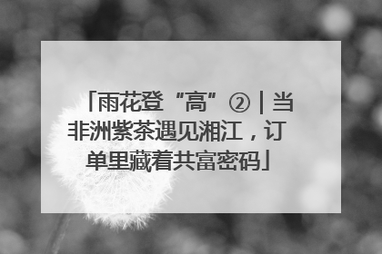 雨花登“高”②｜当非洲紫茶遇见湘江，订单里藏着共富密码