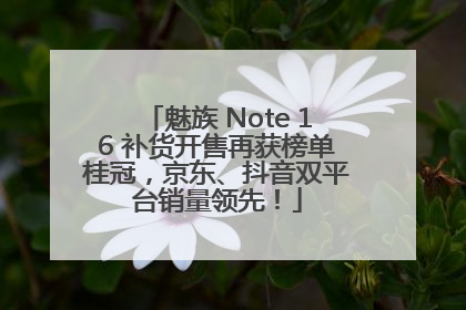 魅族 Note 16 补货开售再获榜单桂冠，京东、抖音双平台销量领先！