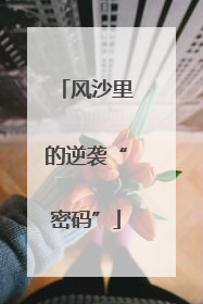风沙里的逆袭“密码”
