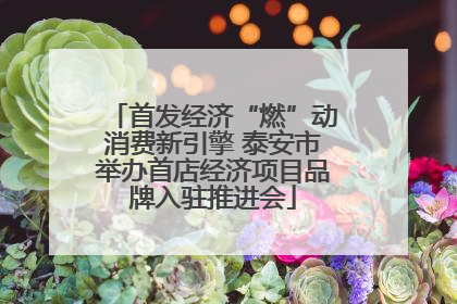 首发经济“燃”动消费新引擎 泰安市举办首店经济项目品牌入驻推进会