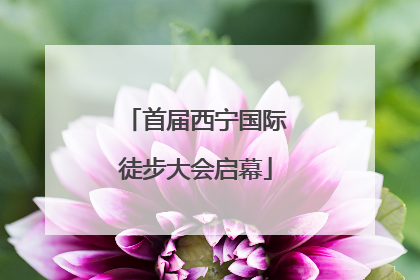 首届西宁国际徒步大会启幕