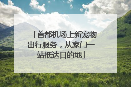 首都机场上新宠物出行服务，从家门一站抵达目的地