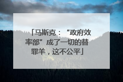 马斯克：“政府效率部”成了一切的替罪羊，这不公平