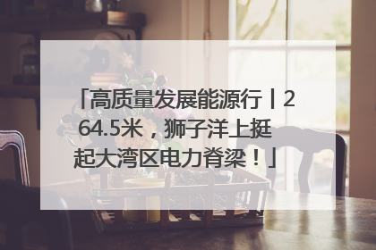 高质量发展能源行丨264.5米，狮子洋上挺起大湾区电力脊梁！