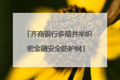 齐商银行多措并举织密金融安全防护网