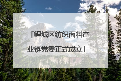 鲤城区纺织面料产业链党委正式成立