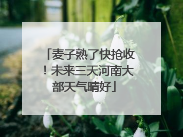 麦子熟了快抢收！未来三天河南大部天气晴好