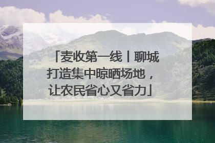 麦收第一线丨聊城打造集中晾晒场地，让农民省心又省力