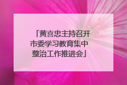 黄喜忠主持召开市委学习教育集中整治工作推进会