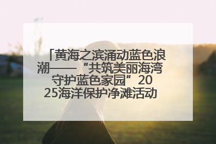 黄海之滨涌动蓝色浪潮——“共筑美丽海湾 守护蓝色家园”2025海洋保护净滩活动暨“美丽江苏—江河湖海青蓝行”海洋篇在连云港举行