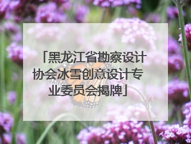 黑龙江省勘察设计协会冰雪创意设计专业委员会揭牌