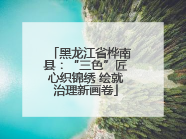 黑龙江省桦南县：“三色”匠心织锦绣 绘就治理新画卷
