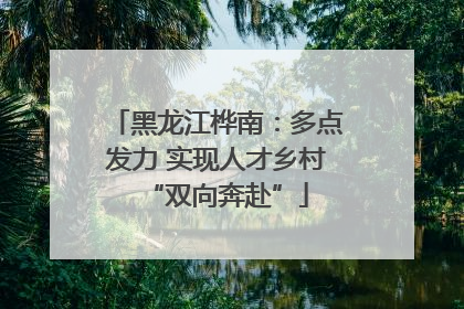 黑龙江桦南：多点发力 实现人才乡村“双向奔赴”