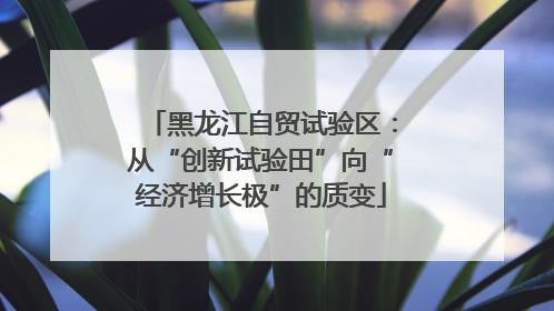 黑龙江自贸试验区：从“创新试验田”向“经济增长极”的质变
