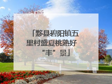 黟县碧阳镇五里村盛夏桃熟好“丰”景